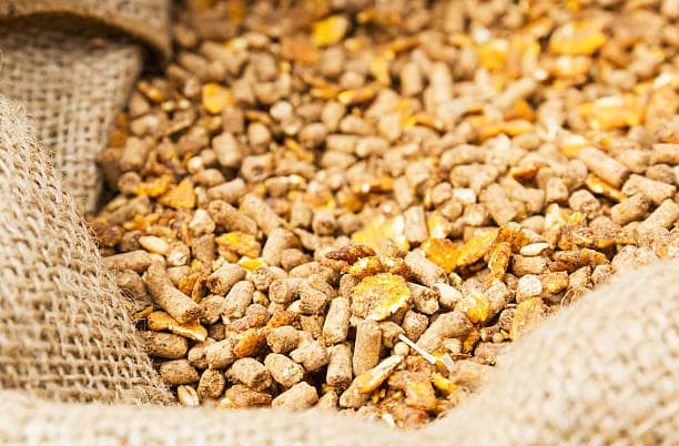 تصویر 1 از مکمل دام دوستدار محیط‌ زیست ترکیبات طبیعی و فاقد مواد مضر